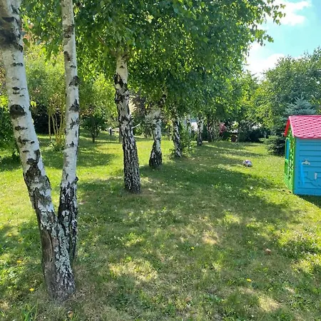 Lägenhet U Kowola - *