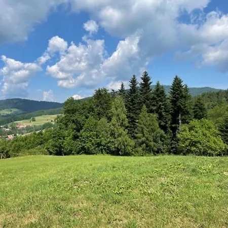 U Kowola - Apartament *